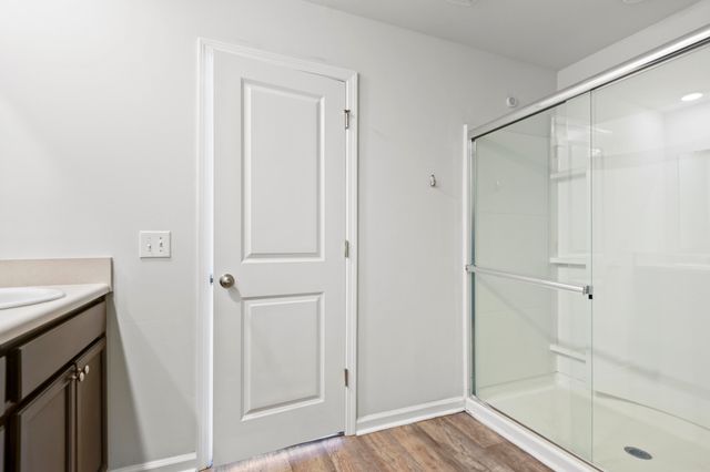 163 Rosefield Court, Summerville, SC 29485