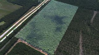 27241 Highway 90 E, Devers, TX 77538