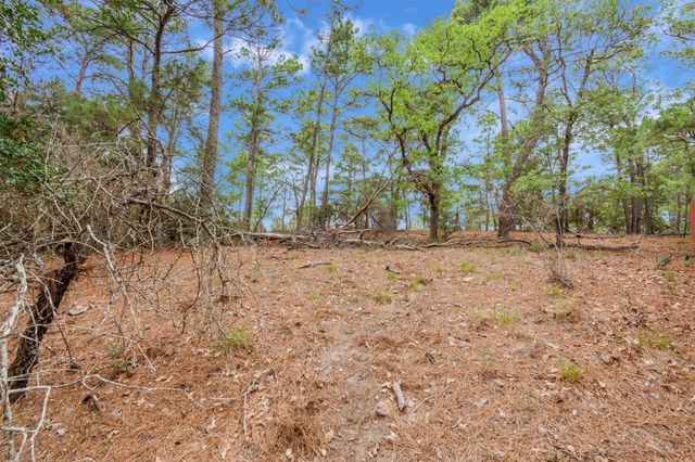 141 Kamaiki DR, Bastrop, TX 78602