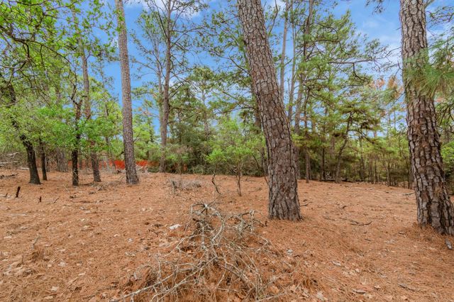 141 Kamaiki DR, Bastrop, TX 78602