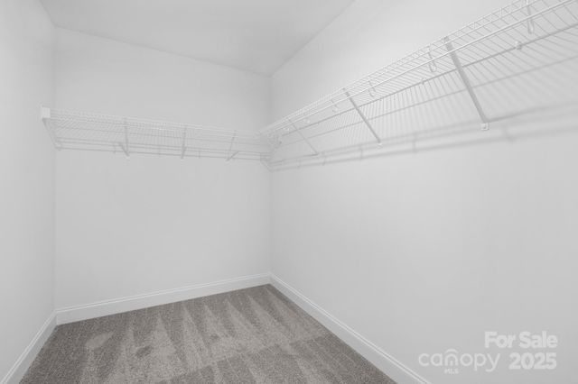 4207 Eagle Chase Drive, Charlotte, NC 28216