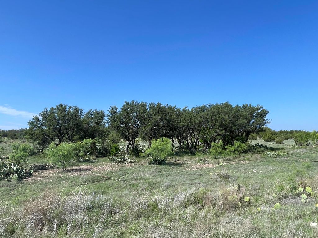 Image 3 of property listing at 9534 Duff Road, Christoval, TX 76935