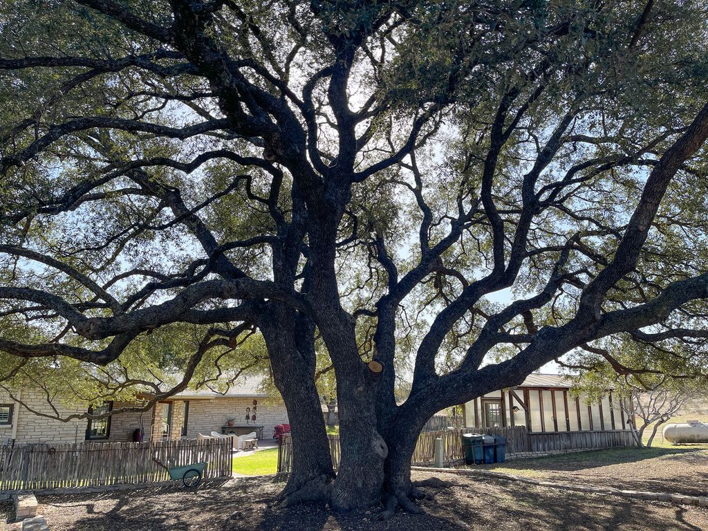 Image 38 of property listing at 9534 Duff Road, Christoval, TX 76935