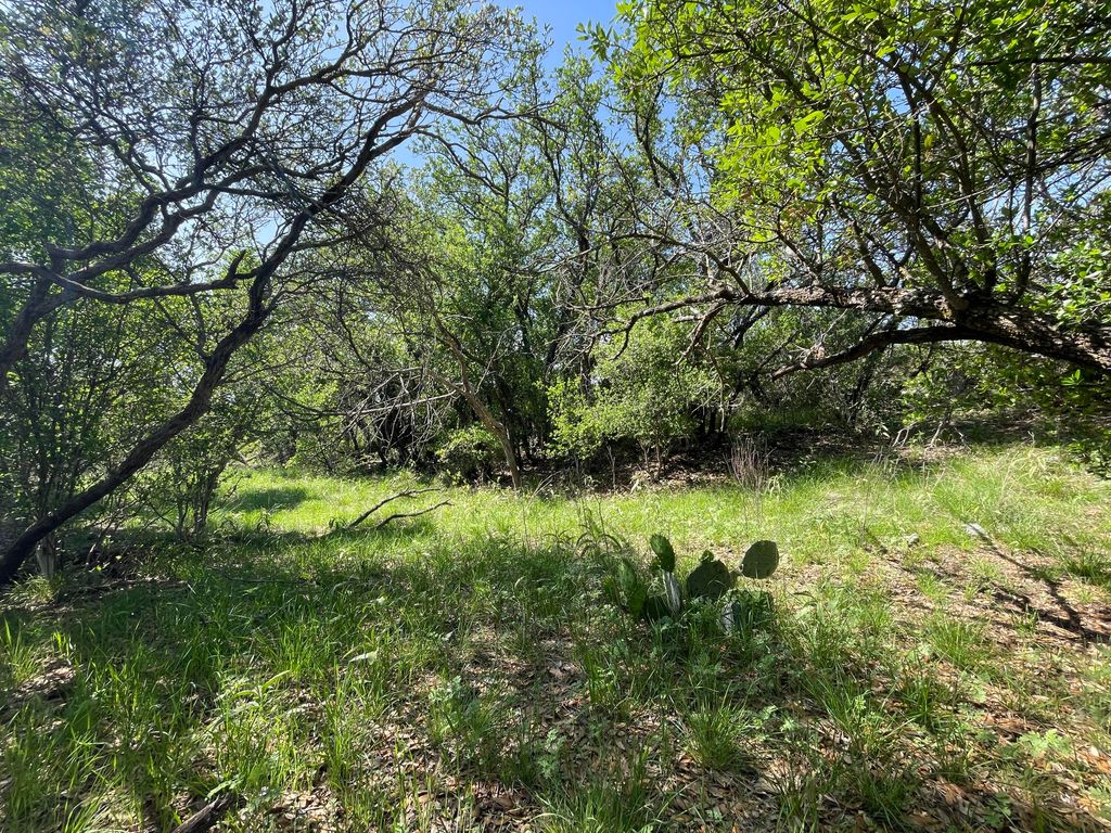 Image 49 of property listing at 9534 Duff Road, Christoval, TX 76935
