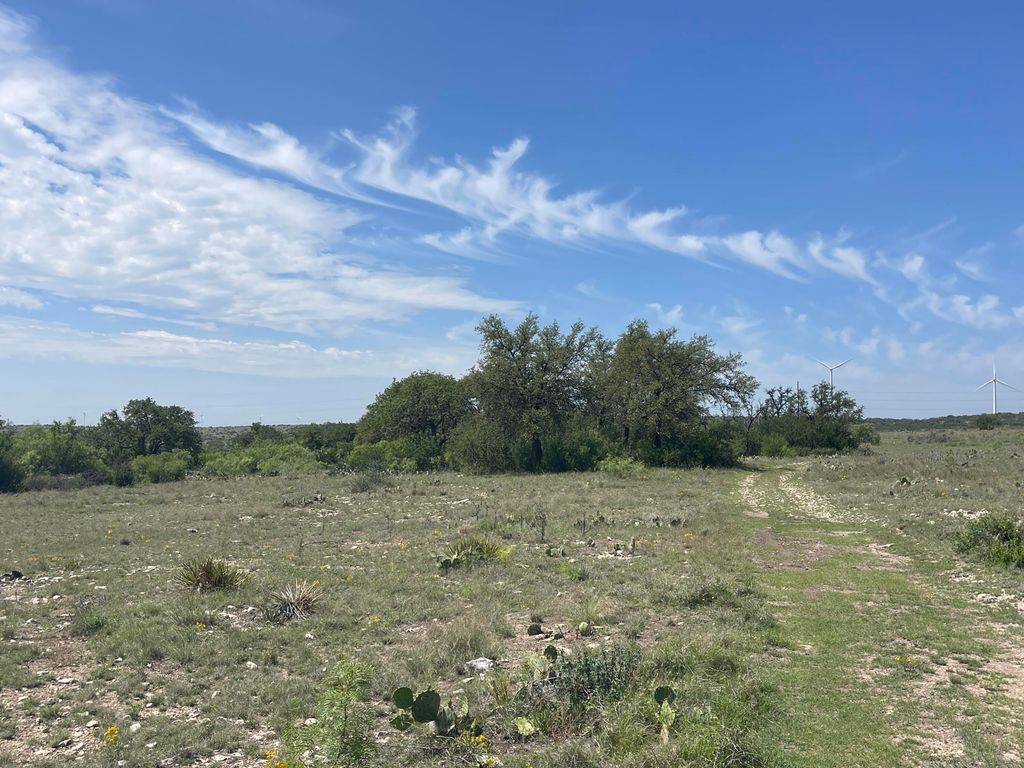 Image 5 of property listing at 9534 Duff Road, Christoval, TX 76935