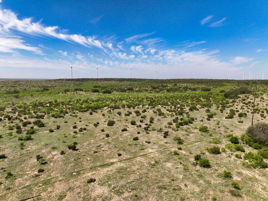 Image 50 of property listing at 9534 Duff Road, Christoval, TX 76935