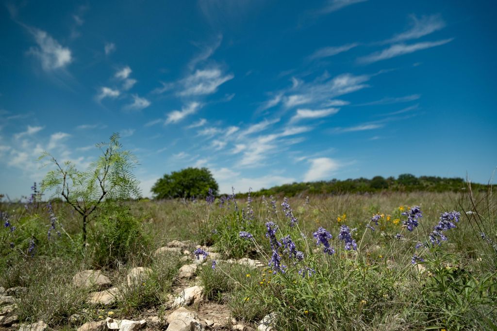 Image 53 of property listing at 9534 Duff Road, Christoval, TX 76935