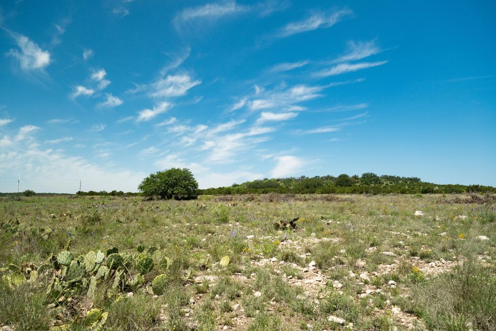 Image 55 of property listing at 9534 Duff Road, Christoval, TX 76935