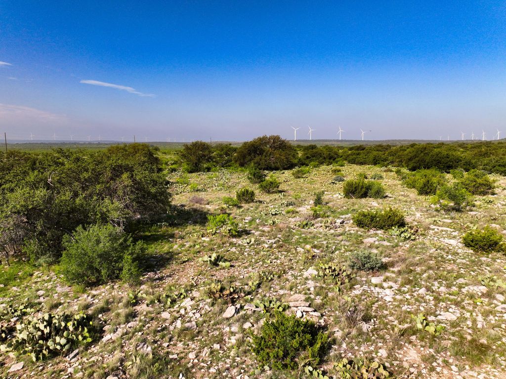 Image 56 of property listing at 9534 Duff Road, Christoval, TX 76935