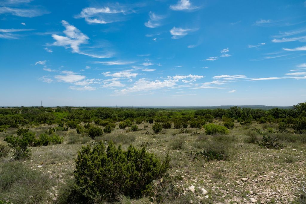 Image 58 of property listing at 9534 Duff Road, Christoval, TX 76935
