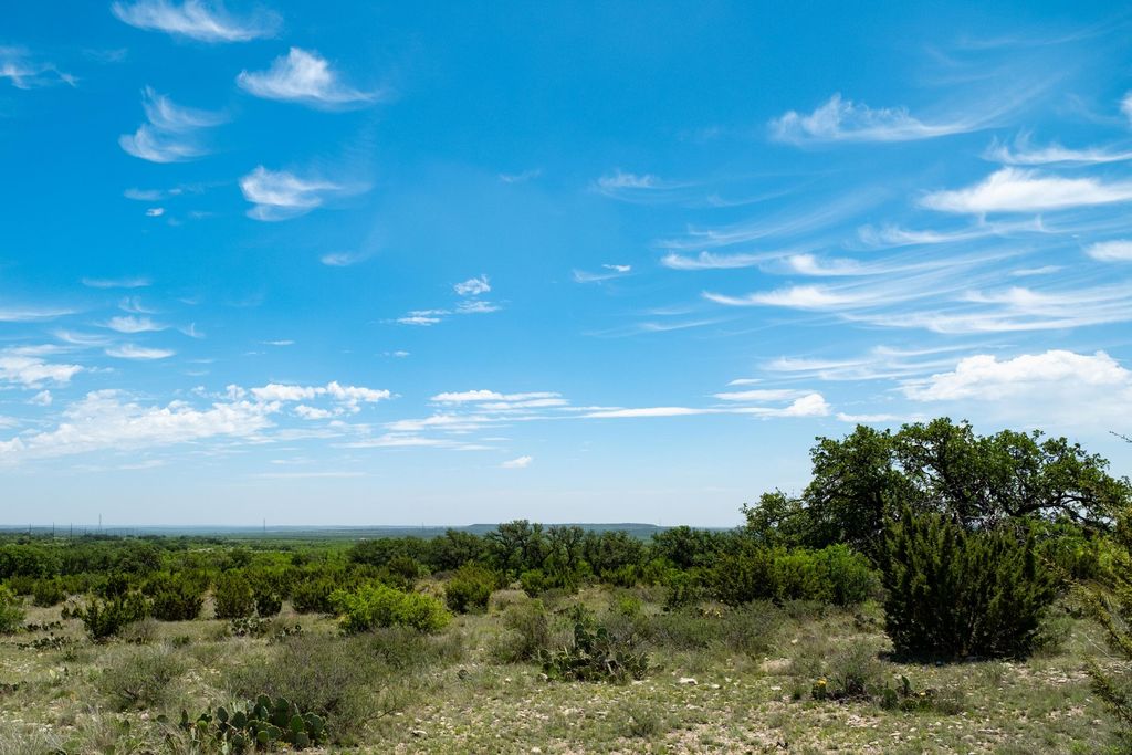 Image 59 of property listing at 9534 Duff Road, Christoval, TX 76935