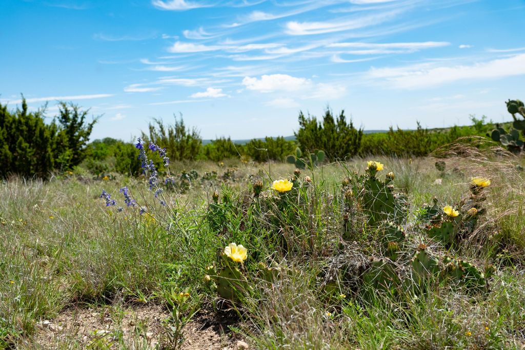 Image 61 of property listing at 9534 Duff Road, Christoval, TX 76935