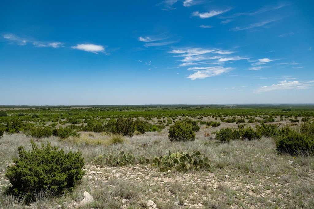 Image 62 of property listing at 9534 Duff Road, Christoval, TX 76935