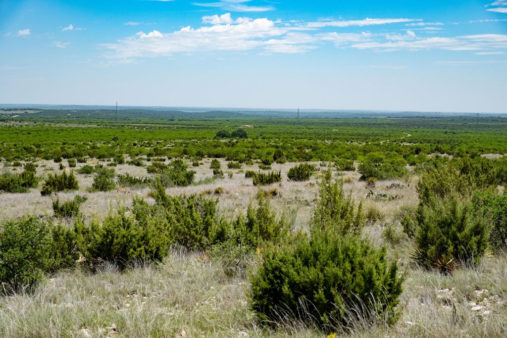 Image 63 of property listing at 9534 Duff Road, Christoval, TX 76935