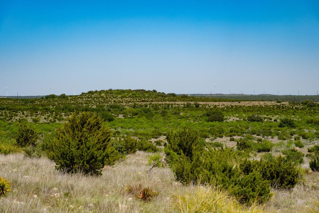 Image 64 of property listing at 9534 Duff Road, Christoval, TX 76935