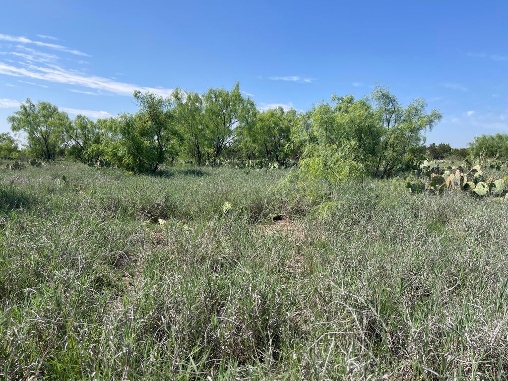 Image 8 of property listing at 9534 Duff Road, Christoval, TX 76935
