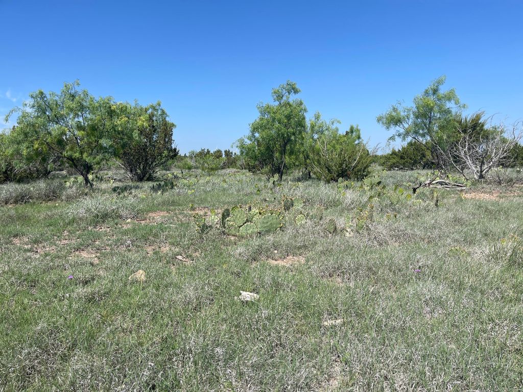 Image 9 of property listing at 9534 Duff Road, Christoval, TX 76935