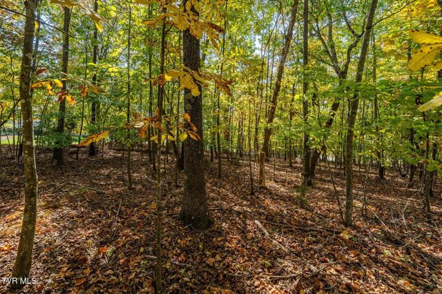 109 Lookout Court, Blountville, TN 37617