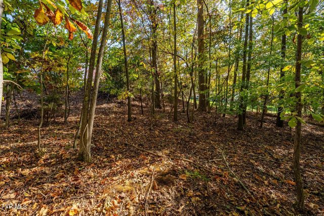 109 Lookout Court, Blountville, TN 37617