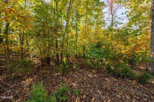 109 Lookout Court, Blountville, TN 37617