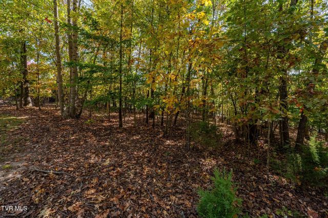 109 Lookout Court, Blountville, TN 37617