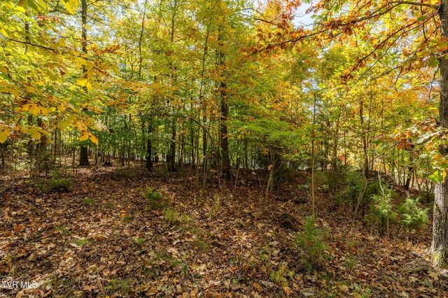 109 Lookout Court, Blountville, TN 37617