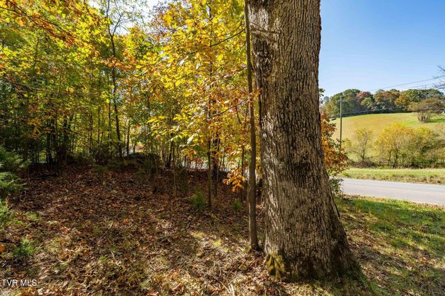 109 Lookout Court, Blountville, TN 37617