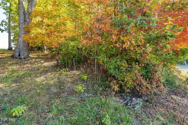 109 Lookout Court, Blountville, TN 37617