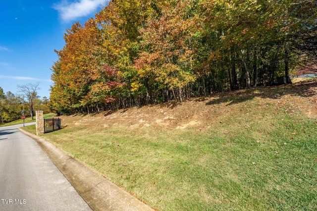 109 Lookout Court, Blountville, TN 37617