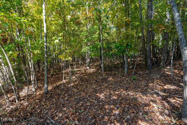 109 Lookout Court, Blountville, TN 37617