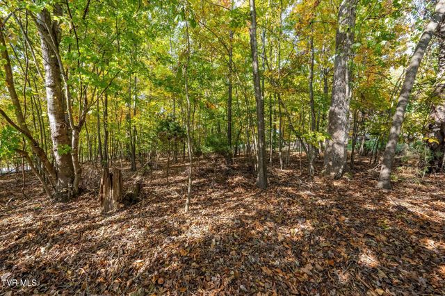 109 Lookout Court, Blountville, TN 37617