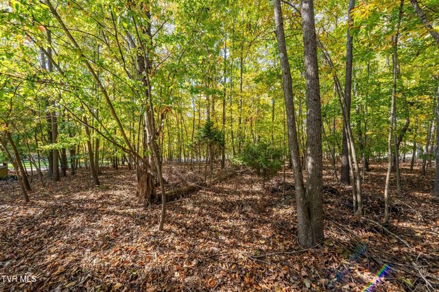 109 Lookout Court, Blountville, TN 37617