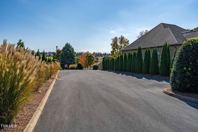 109 Lookout Court, Blountville, TN 37617