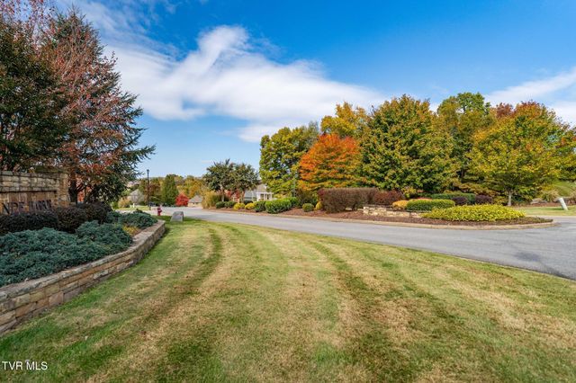 109 Lookout Court, Blountville, TN 37617