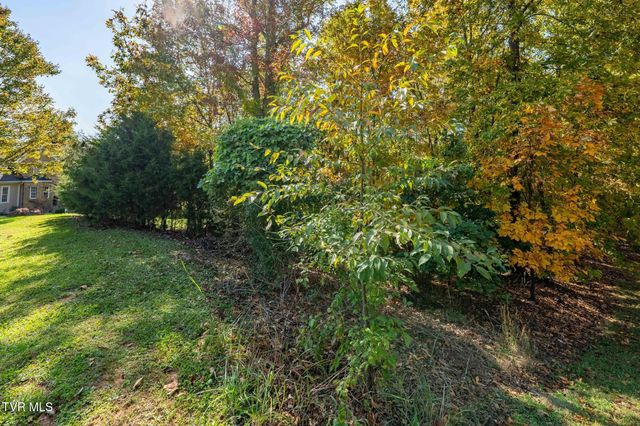 109 Lookout Court, Blountville, TN 37617