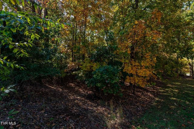 109 Lookout Court, Blountville, TN 37617