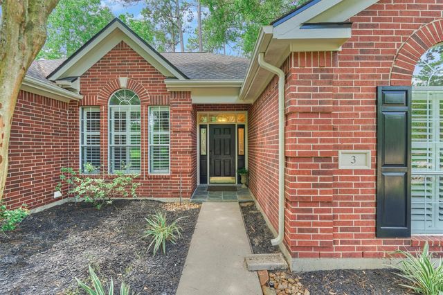 3 E Night Heron Place, The Woodlands, TX 77382