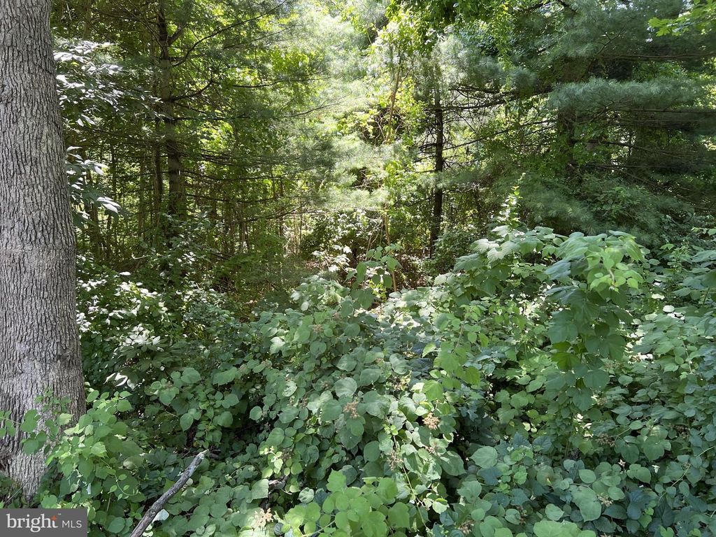 HARFORD STREET, Aberdeen, MD 21001