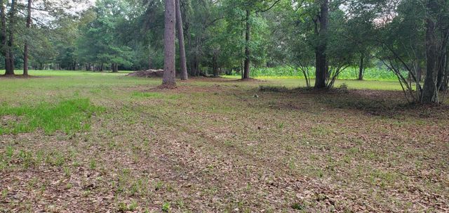 15291 Bart Lake Road, Conroe, TX 77303