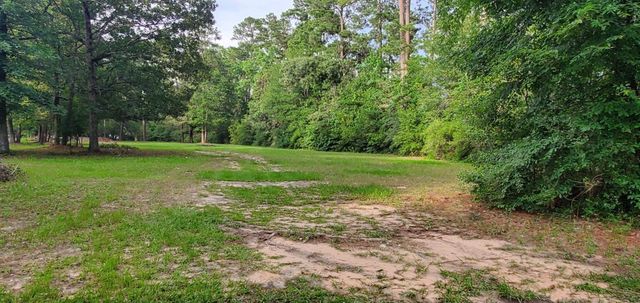 15291 Bart Lake Road, Conroe, TX 77303