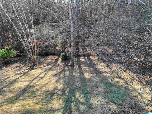 821 LAKESHORE CIRCLE, Warrior, AL 35180