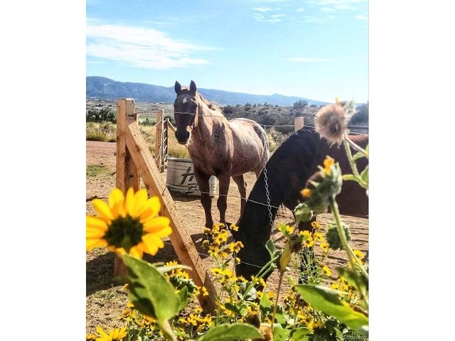 620 Foothills Dr, Canon City, CO 81212