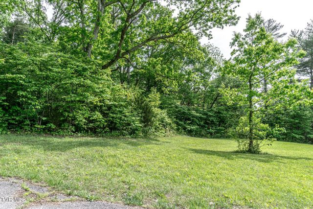 290 Wooded Heights, Greeneville, TN 37743
