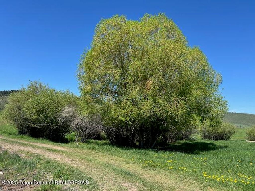 5000 SPRING CREEK ROAD, Fairview, WY 83119 photo 33