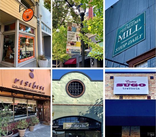 1889 Falcon Ridge Dr, Petaluma, CA 94954