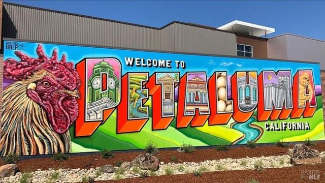 1889 Falcon Ridge Dr, Petaluma, CA 94954