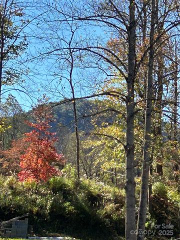 114 Orchard Street, Old Fort, NC 28762