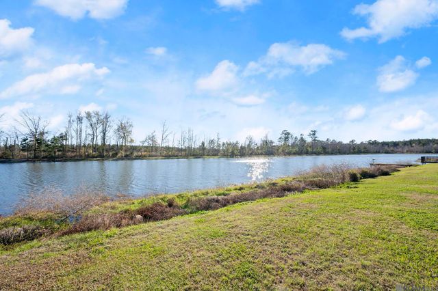 25350 White Lake Ave, Livingston, LA 70754