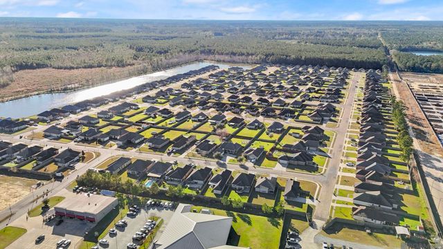 25350 White Lake Ave, Livingston, LA 70754