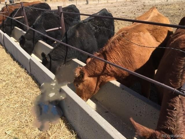 50416 County Road 22, Ramah, CO 80832